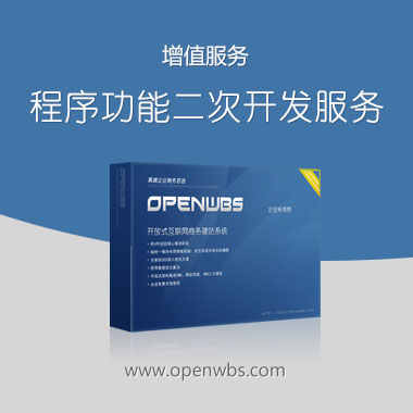 程序功能二次開發(fā)服務