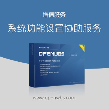 系統(tǒng)后臺功能設置協(xié)助服務